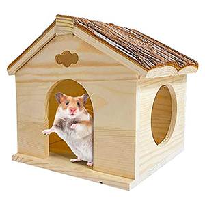 Small Animal Houses